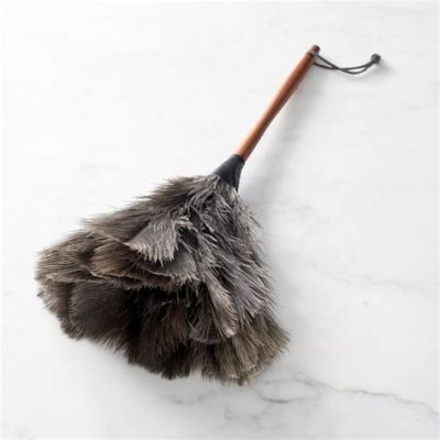  Feather Duster: Un Racconto Americano Inaspettato del IV Secolo!