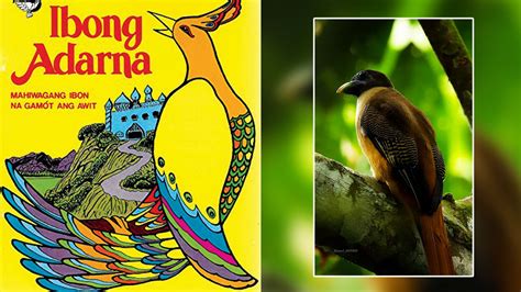  Ang Ibong Adarna: Un Canto di Amore, Tradimento e Redenzione nella Filippine del Quindicesimo Secolo?